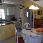 Beautiful detached house in Playa Flamenca