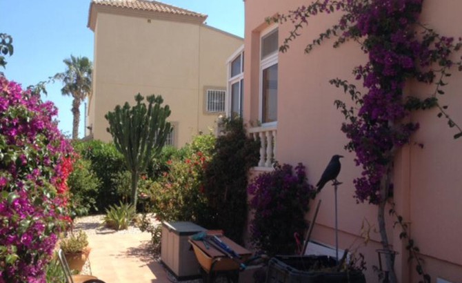 Beautiful detached house in Playa Flamenca