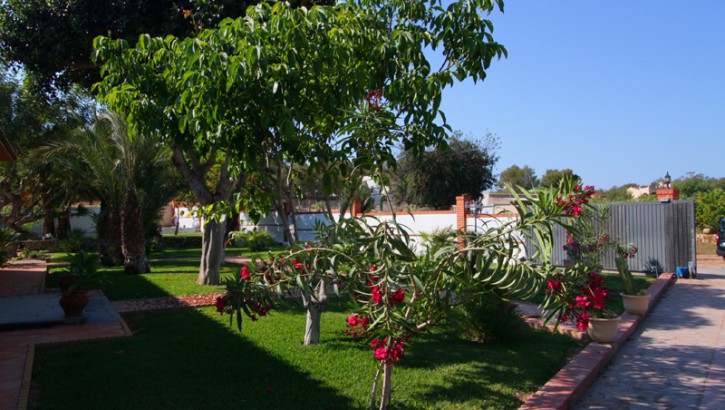 Luxusfinca in Alfaz del Pi