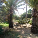 Villa con la casa de huéspedes y piscina en La Nucia