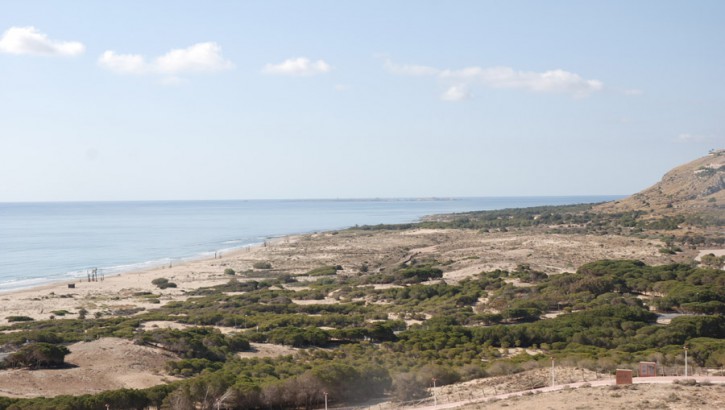 Beachfront Penthouse Santa Pola