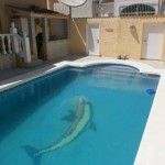 Villa in La Marina with pool