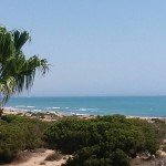 Seafront Apartments Torrevieja