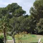 Luxury villas by the golf course of Villamartin