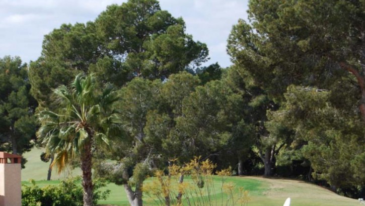 Villas de luxe au golf de Villamartin à Orihuela Costa