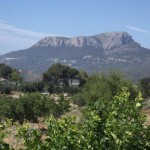 Country style 4 bedroom villa in Benissa with pool