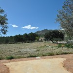 Finca on a large flat plot in a rural environment of Benissa