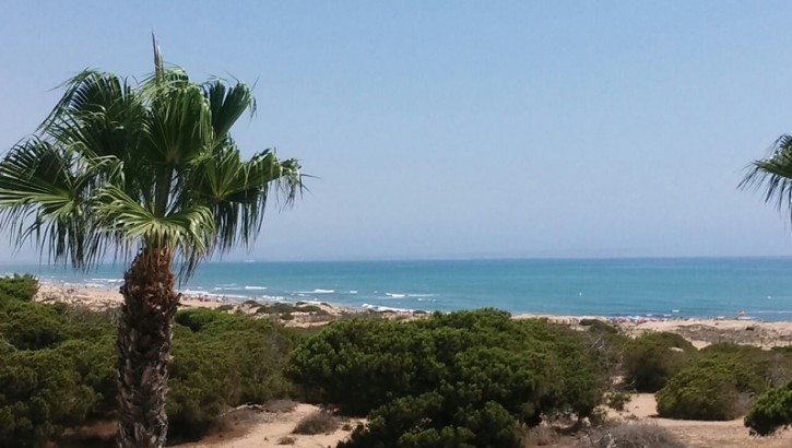 Neubauwohnungen direkt am Meer Torrevieja