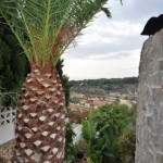 Villa mit Meerblick in Benissa