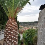 Villa charmante avec des vues sur mer à Benissa