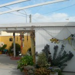 Detached villa with granny annex in San Luis, Torrevieja