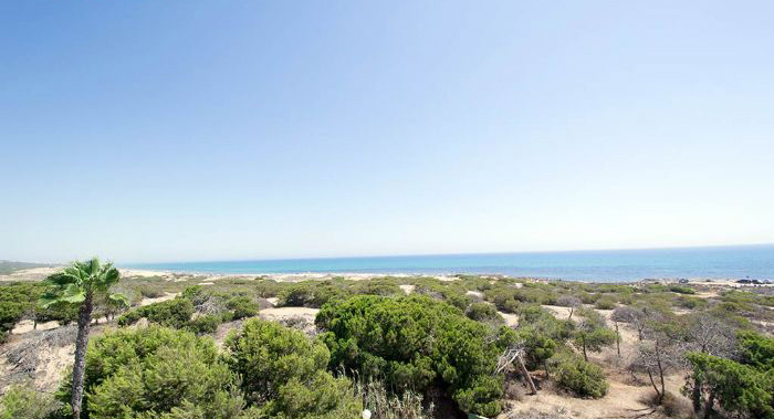 Neubauwohnungen direkt am Meer Torrevieja
