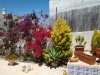 Nice villa with 2 units in La Marina