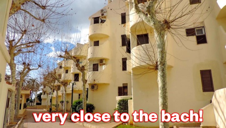 Cozy apartment next to the beach in Denia