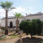 Villa avec un très grand terrain à Los Montesinos