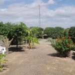 Villa bonita con un tereno grande en Los Montesinos