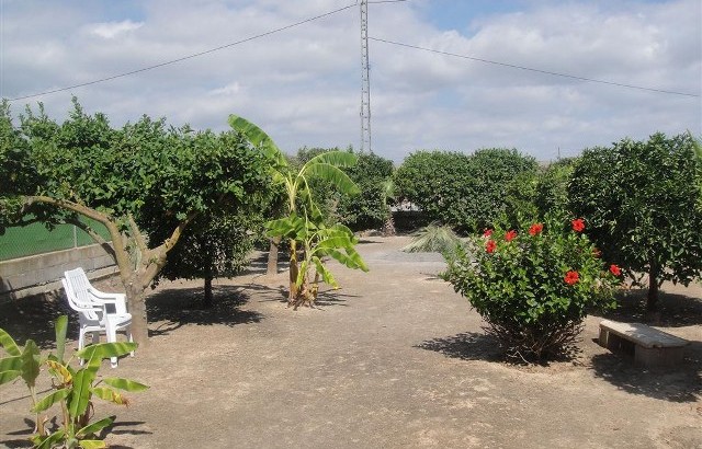 Villa avec un très grand terrain à Los Montesinos