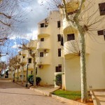 Cozy apartment next to the beach in Denia