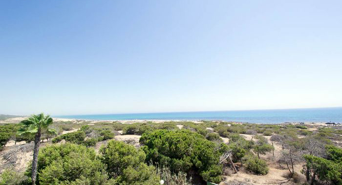 Neubauwohnungen direkt am Meer Torrevieja