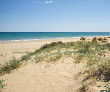 Maisons mitoyennes très près du mer à Santa Pola