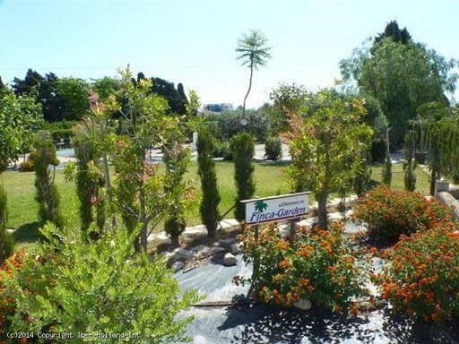 Finca only 400 m away from the sea at Els Poblets