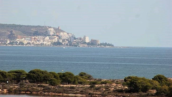 Appartements très modèrnes à La Marina