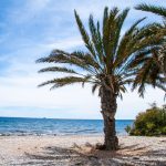 Apartments beachfront Villajoyosa