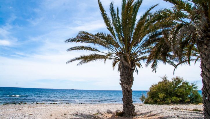 Apartments beachfront Villajoyosa