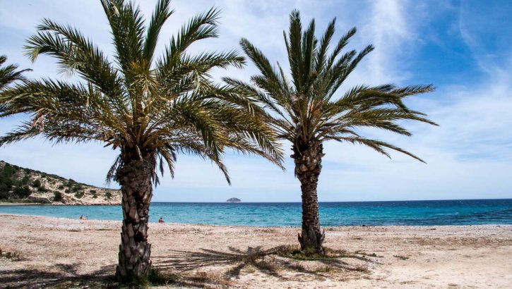 Appartements près de mer Villajoyosa