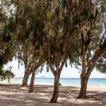 Neubauwohnungen am Strand Villajoyosa