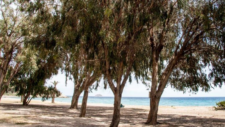 Neubauwohnungen am Strand Villajoyosa