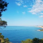 Apartments beachfront Villajoyosa