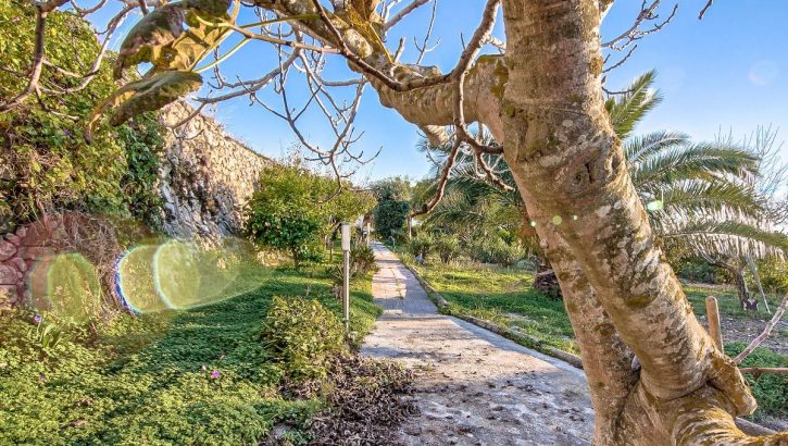 Finca with sea view in Teulada Costa Blanca